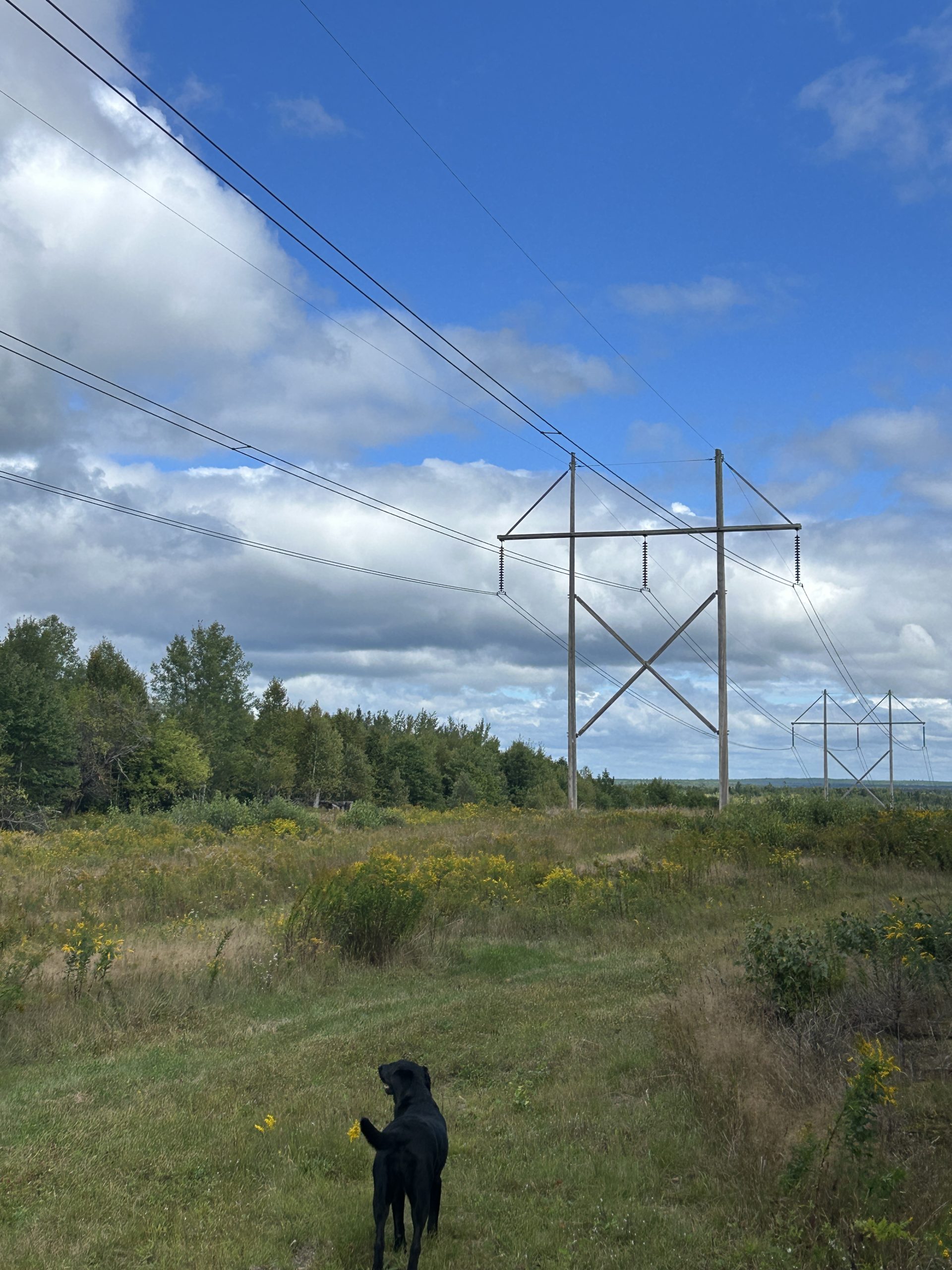 What’s Missing From Maine’s Energy Plan?